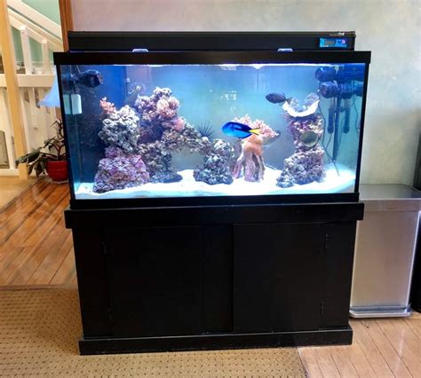 80 gallon aquarium with stand|90 gallon aquarium with overflow.